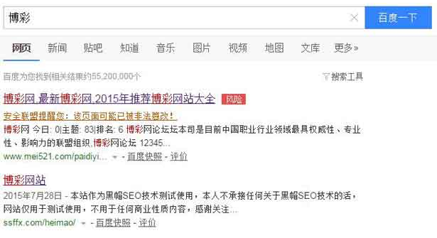 黑帽SEO技術中最穩定的方法 SEO推廣 第1張